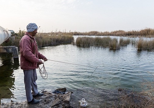 ماهیگیری از تالاب های خوزستان