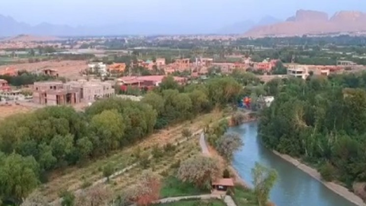 اطفای ۲۶۰ فقره آتش سوزی در مناطق جنگلی/ عوامل انسانی علت عمده آتش سوزی ها