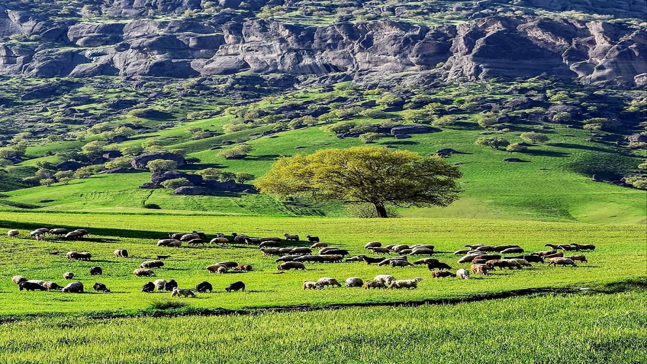 طبیعت سرسبز و چشم نواز مخمل‌کوه در منطقه سَرمَرخ + تصاویر