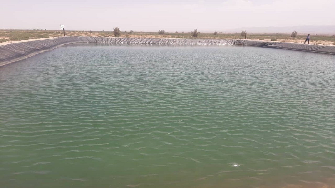 استخر آب کشاورزی بلای جان دو نوجوان رفسنجانی شد
