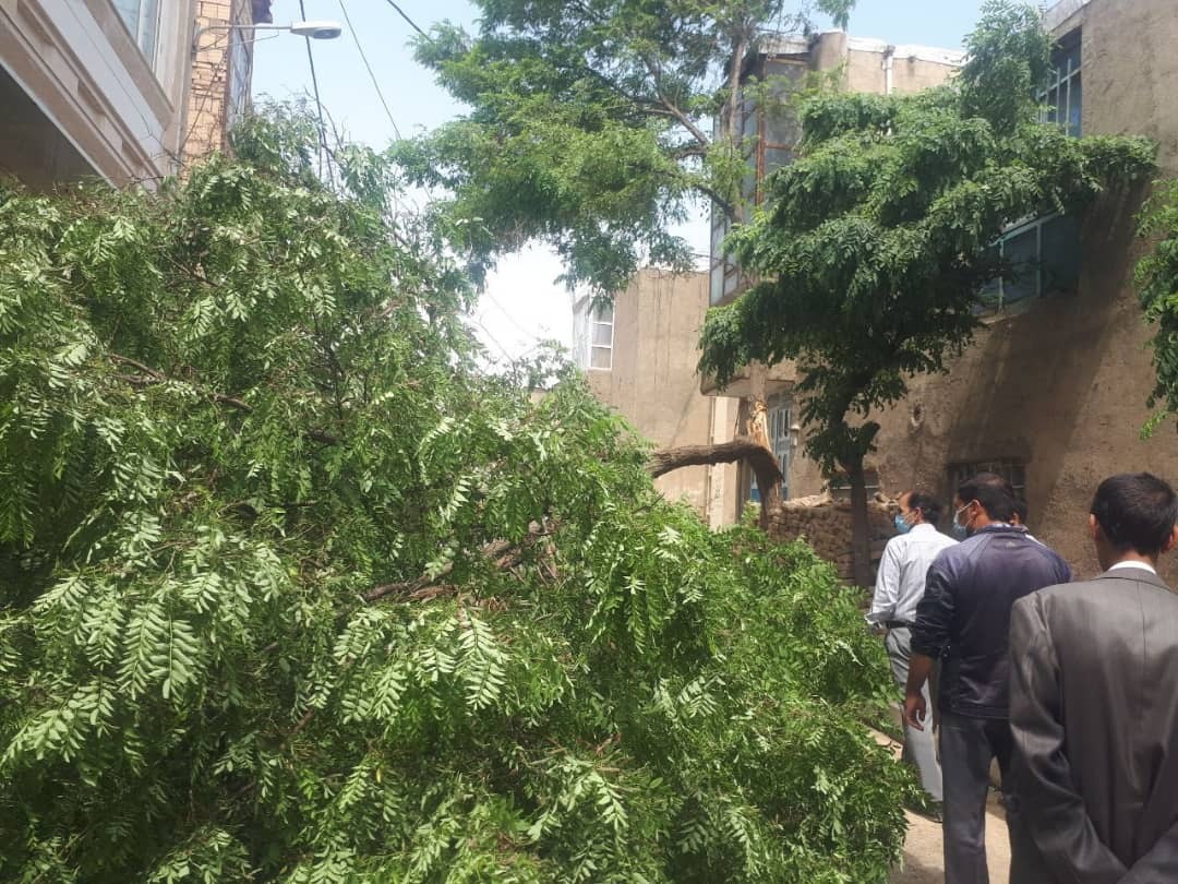 بارش پراکنده در نیمه شمالی همدان بارش پراکنده در نیمه شمالی همدان