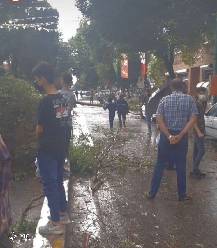 شکسته شدن درختان بر اثر وزش شدید باد در قزوین + تصاویر