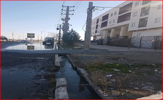 بزرگ&zwnj;ترین کشتی باری تاریخ بوشهر در این بندر پهلو گرفت/ شادگان در اختیار سگ&zwnj;های ولگرد/ آیا اسکلت اژد&zwnj;های سام در جنگل&zwnj;های ساری پیدا شد؟