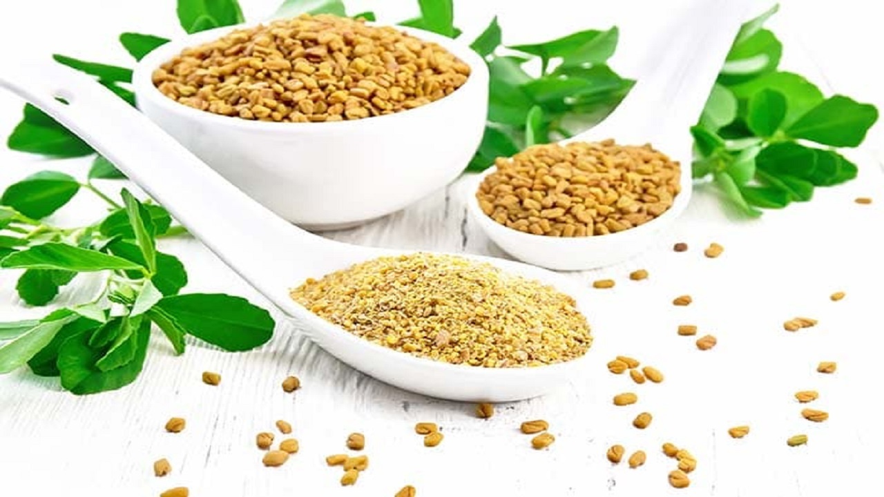 شنبلیله گیاهی موثر در درمان دیابت