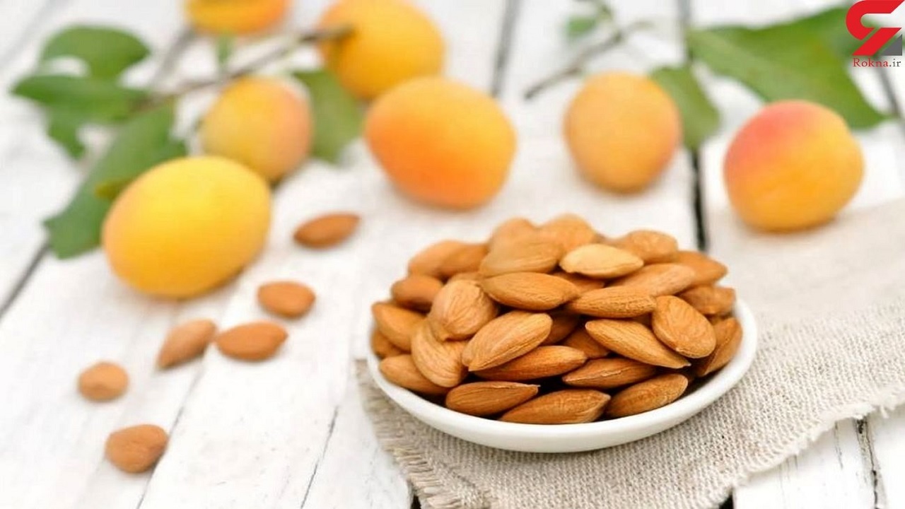 اطلاعات علمی حیرت انگیز درباره هسته زردآلو
