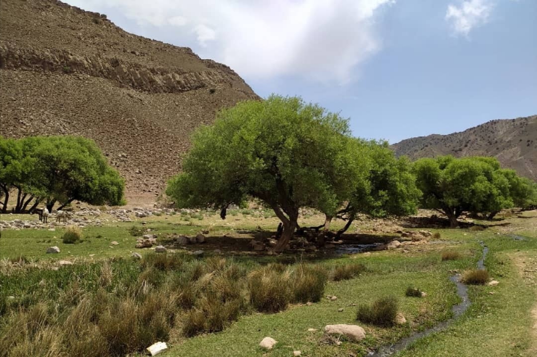 آبشار آبگرم در دل طبیعت سرسبز و بکر کلات نادری