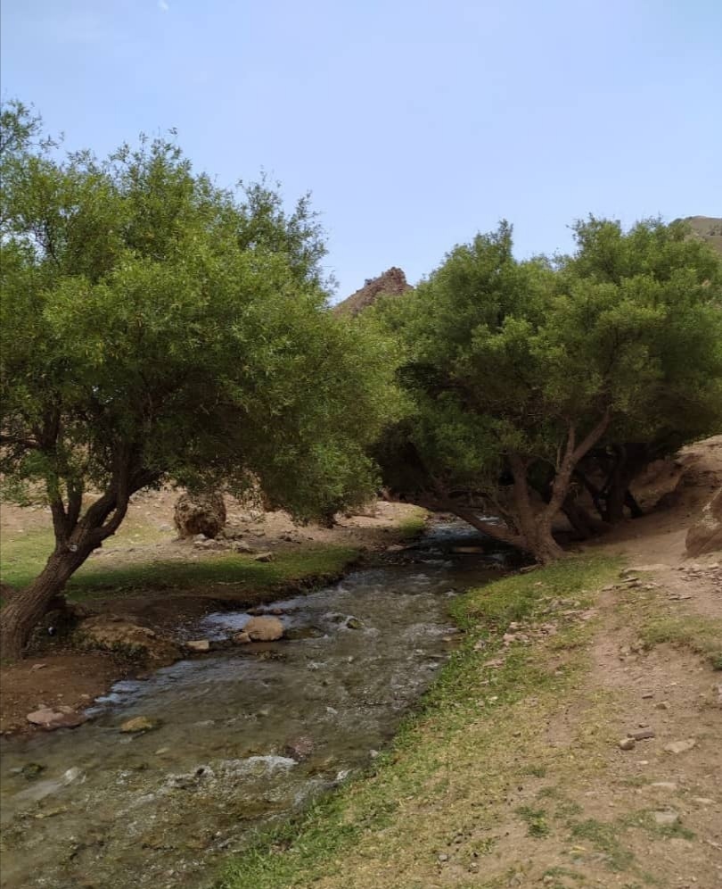 آبشار آبگرم در دل طبیعت سرسبز و بکر کلات نادری