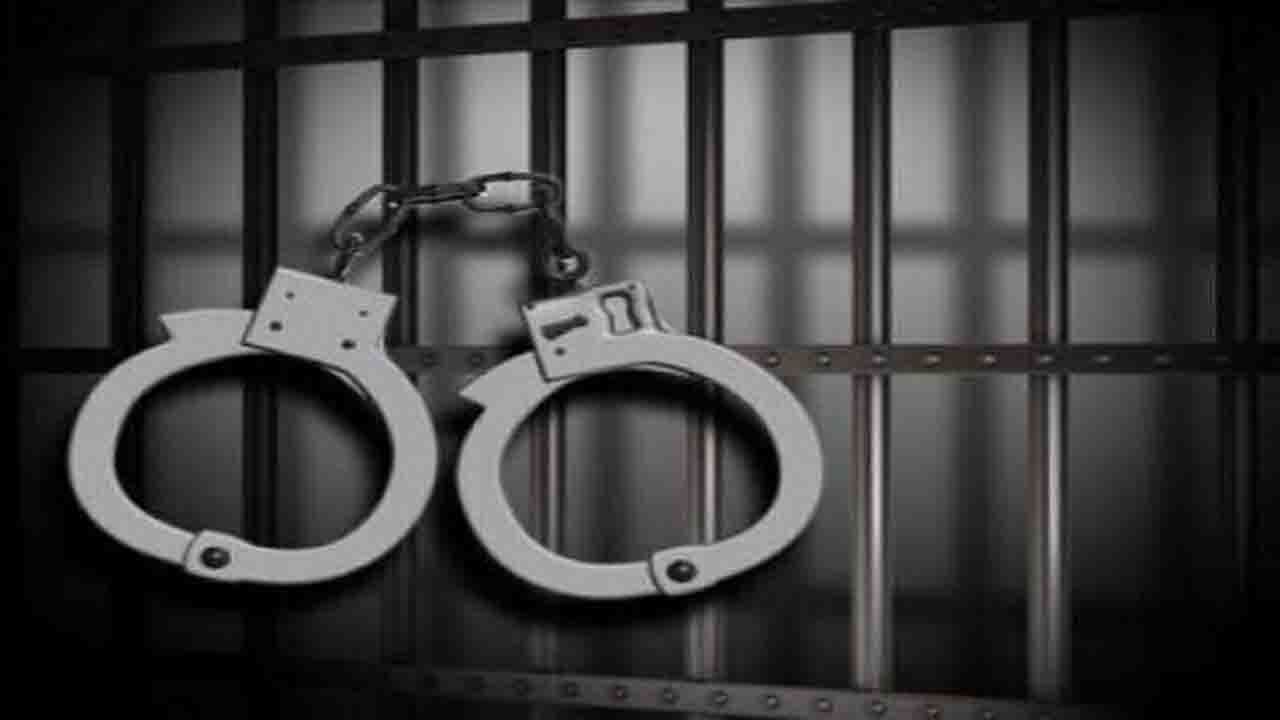 اعترافات تکان دهنده «شپشی» که گربه دار می‌زد!