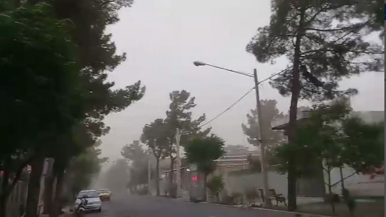 خسارت طوفان به درختان و تیرهای برق در خراسان جنوبی