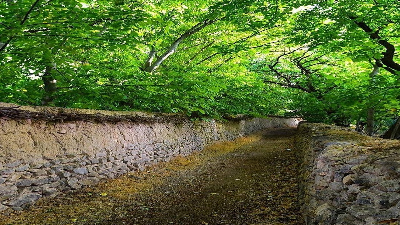 طبیعت دیدنی خوانسار در قاب دوربین شهروندخبرنگار + تصاویر