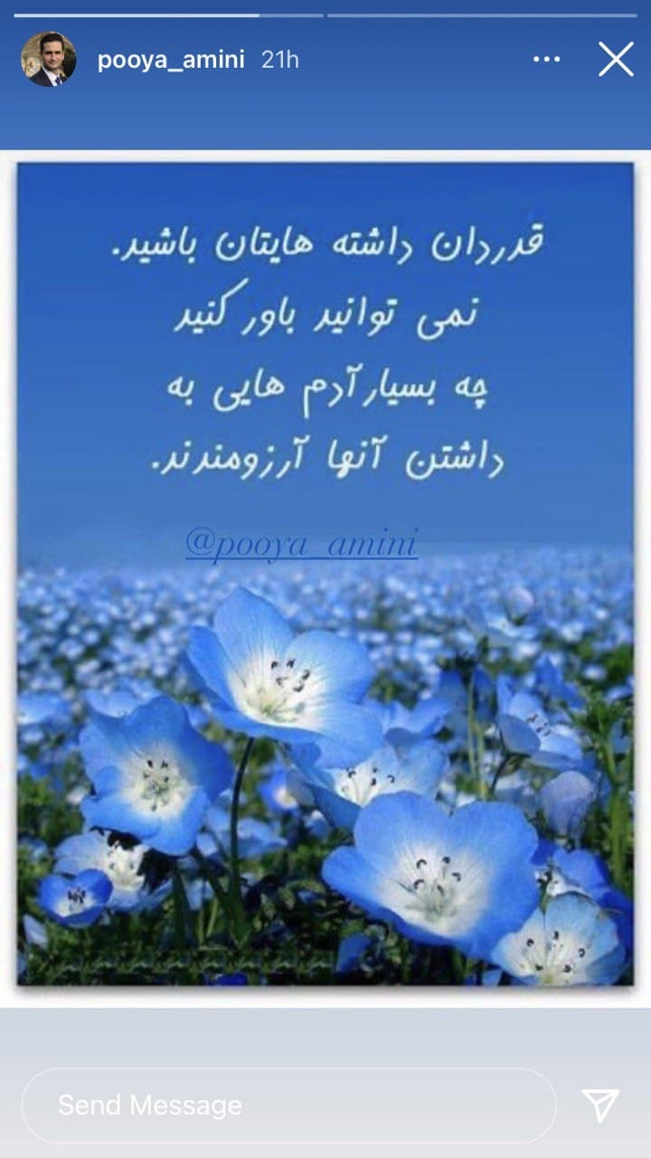پویا امینی پویا امینی
