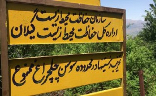 جلوه گری اثر طبیعی - ملی سوسن چلچراغ در رویشگاه حفاظت شده داماش