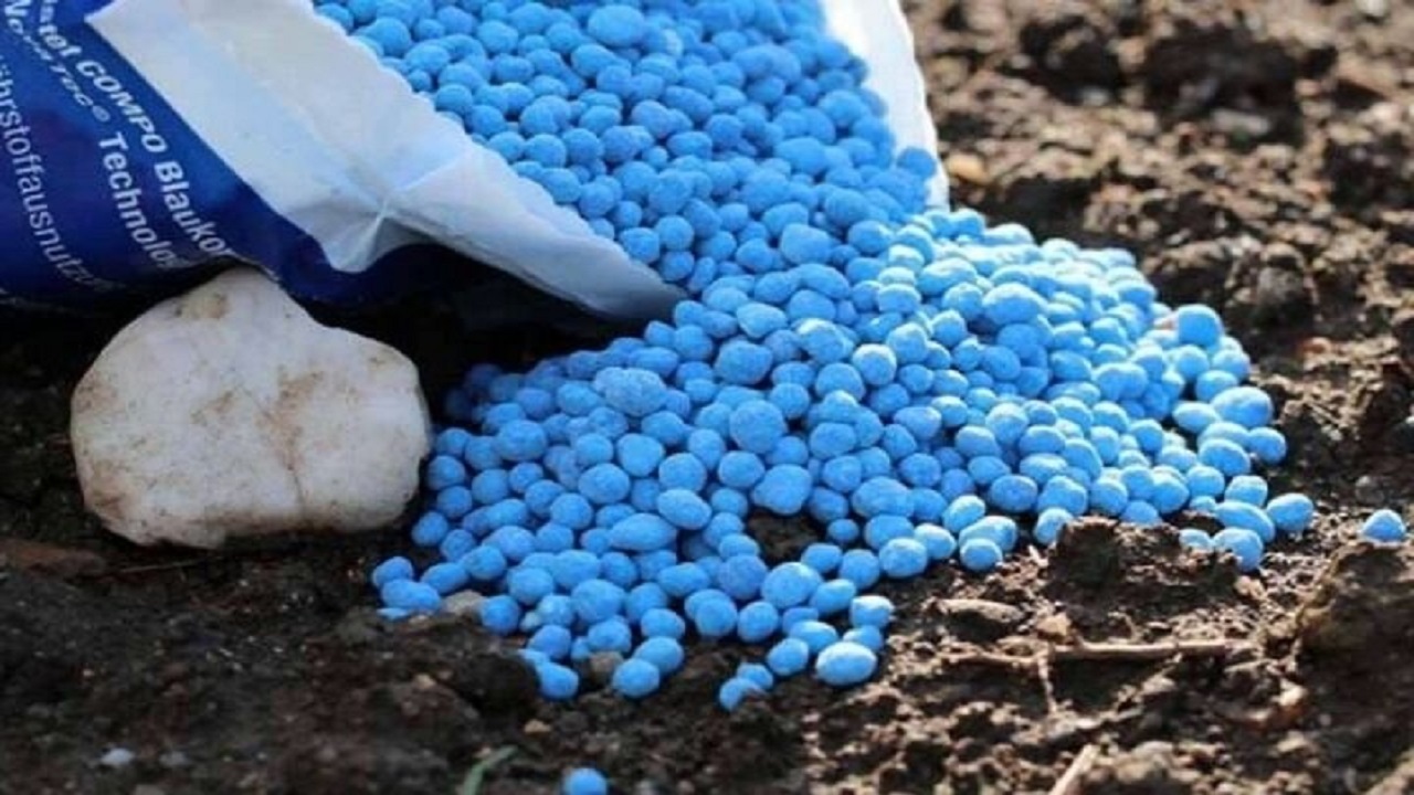 تامین بیش از ۲ هزار کود پتاسه در گلستان