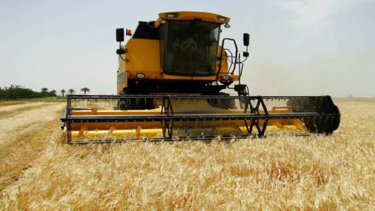آغاز برداشت جو از مزارع کشاورزی استان قزوین