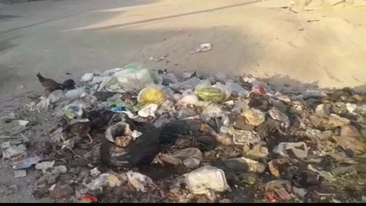 گلایه از بهداشت نامناسب یک کوچه در روستای شیبان + فیلم