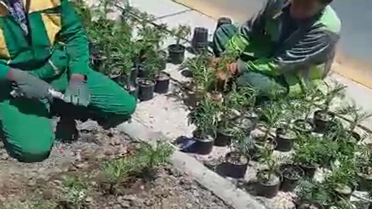 از