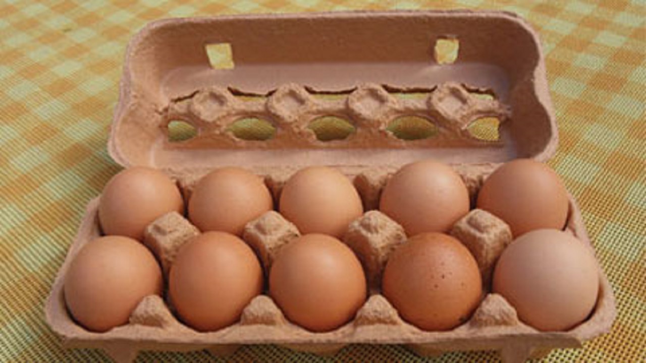 برای خرید تخم مرغ بسته بندی چقدر هزینه کنیم؟
