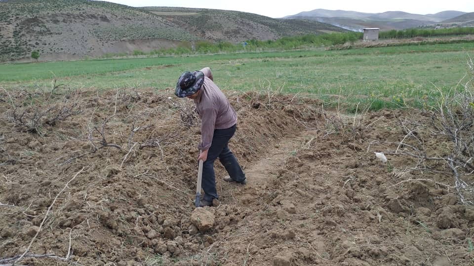 &laquo;باغ اِسپار&raquo;؛ حیات دوباره شهر جهانی انگور