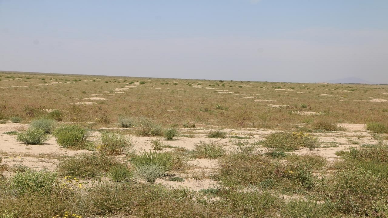 زنگ خطر کم آبی به صدا آمد/ زندگی در سایه داغ بهار