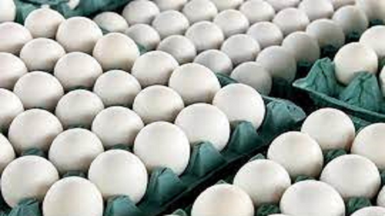 قیمت جدید تخم مرغ در بازار