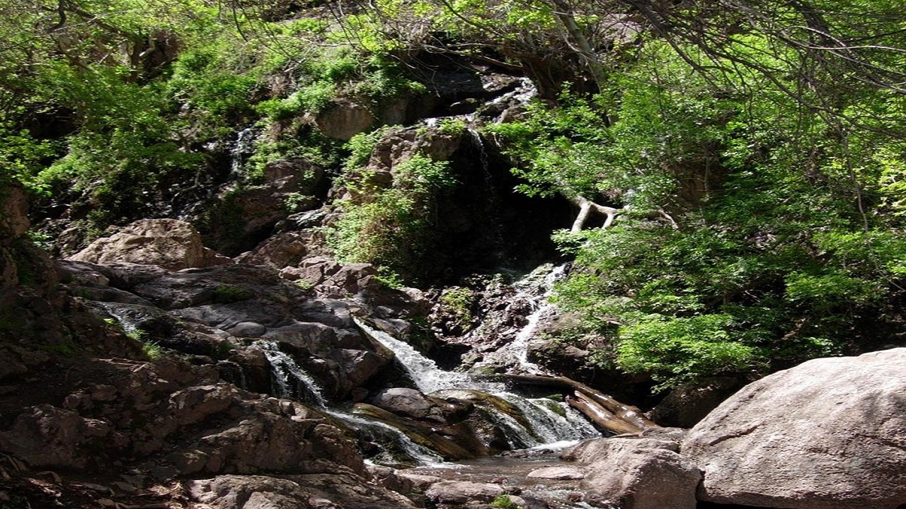 دره ارزنه