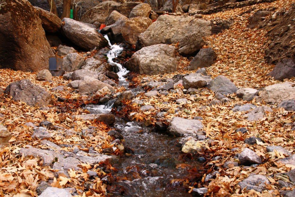 دره ارزنه