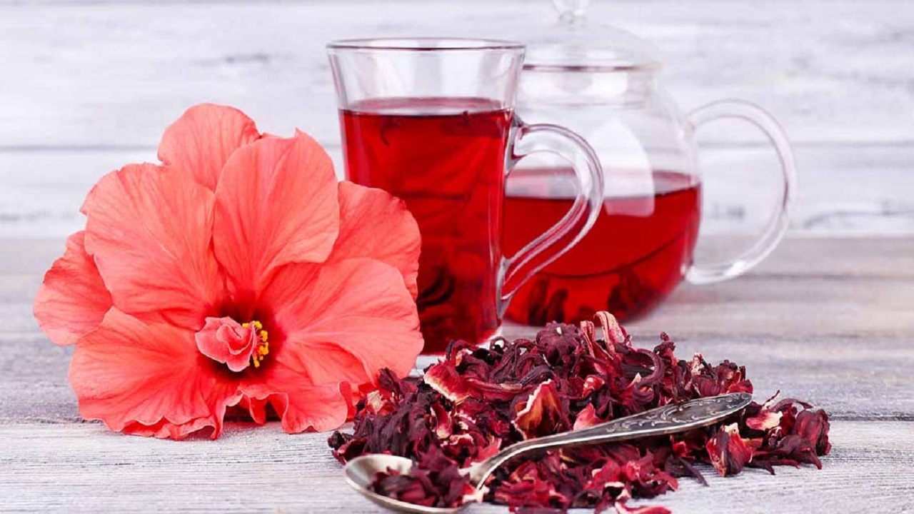 چای ترش ثروت نهفته در دل کویر/ ظرفیتی که با فرآوری، اقتصاد روستایی را رونق می‌دهد