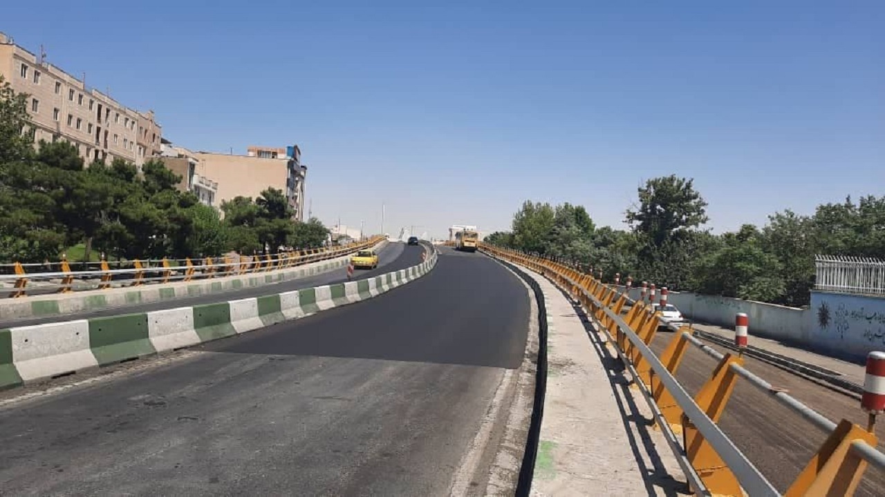 از توسعه زیرساخت های حمل ونقل عمومی تاجمع آوری سگ های بلاصاحب از سطح شهر