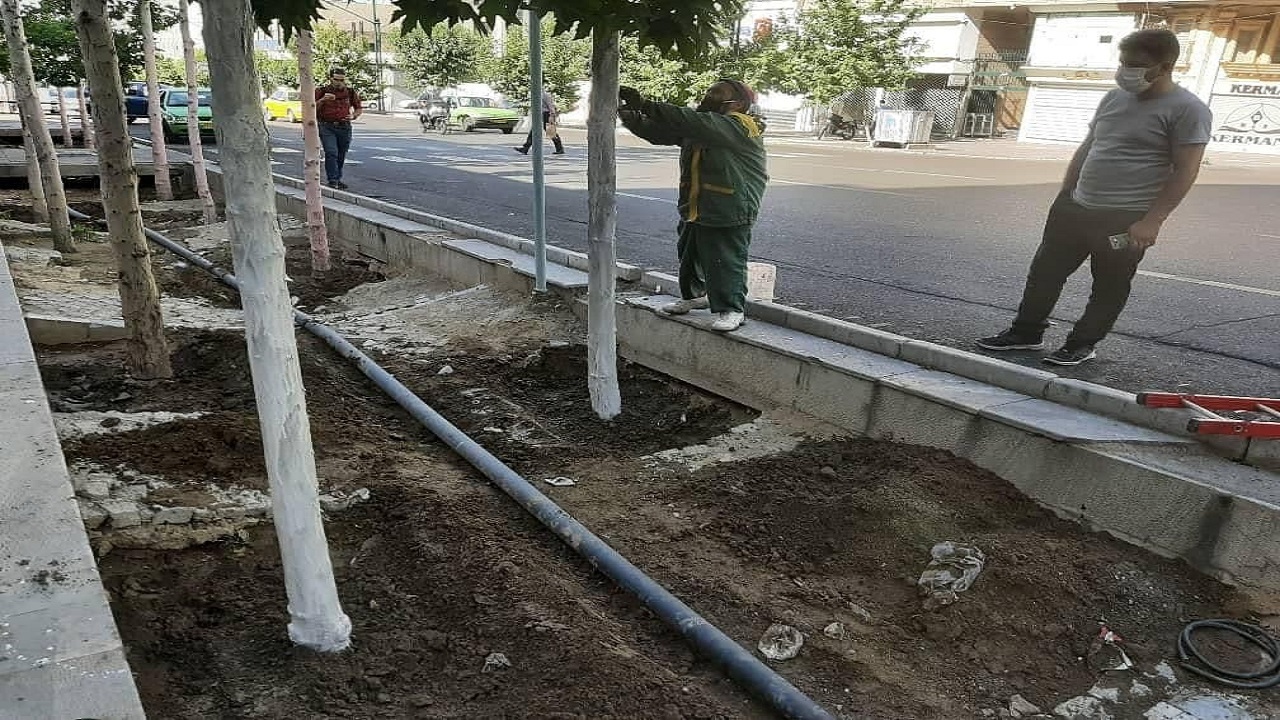 از توسعه زیرساخت های حمل ونقل عمومی تاجمع آوری سگ های بلاصاحب از سطح شهر