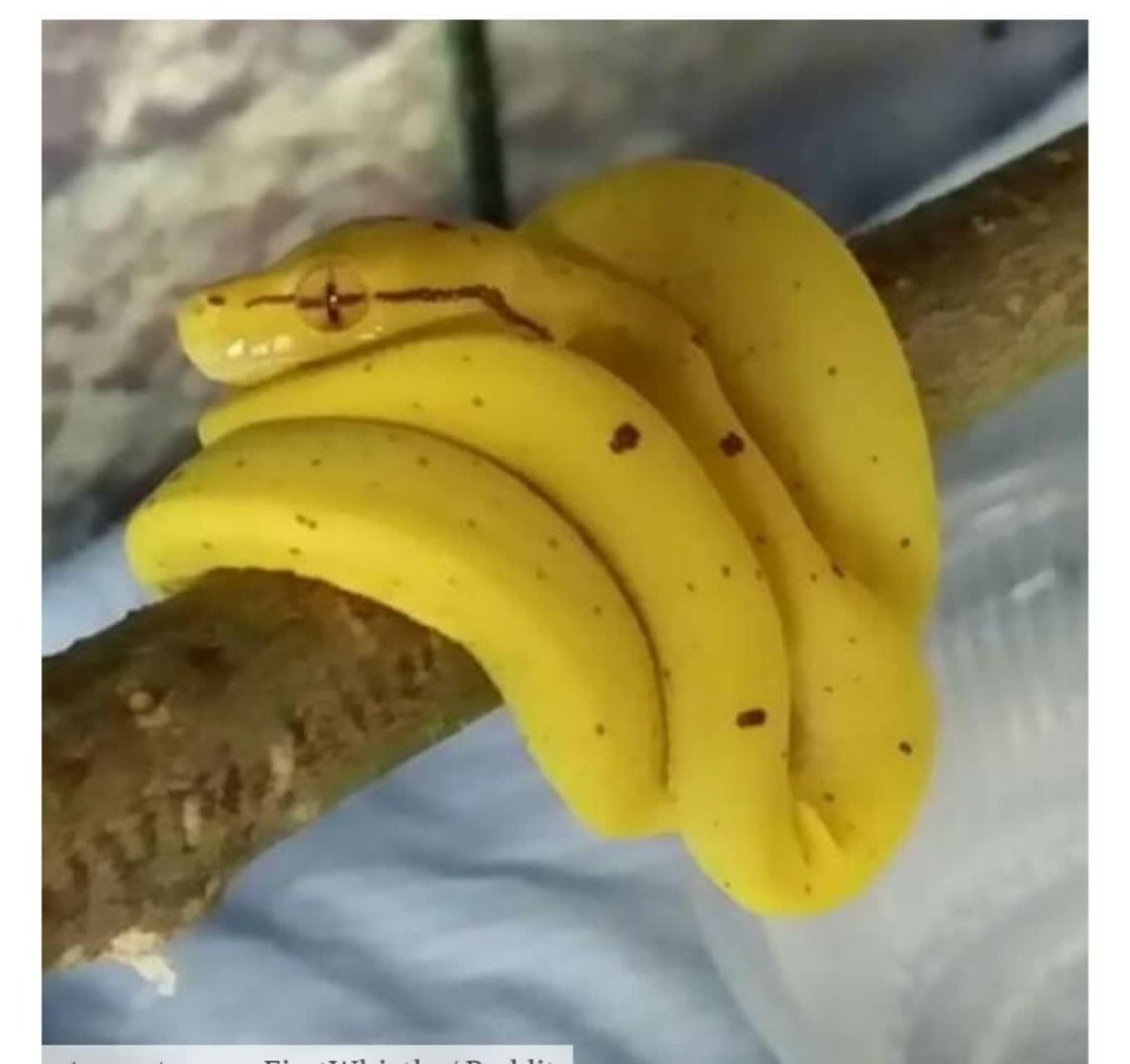 خطاهای دید جالب