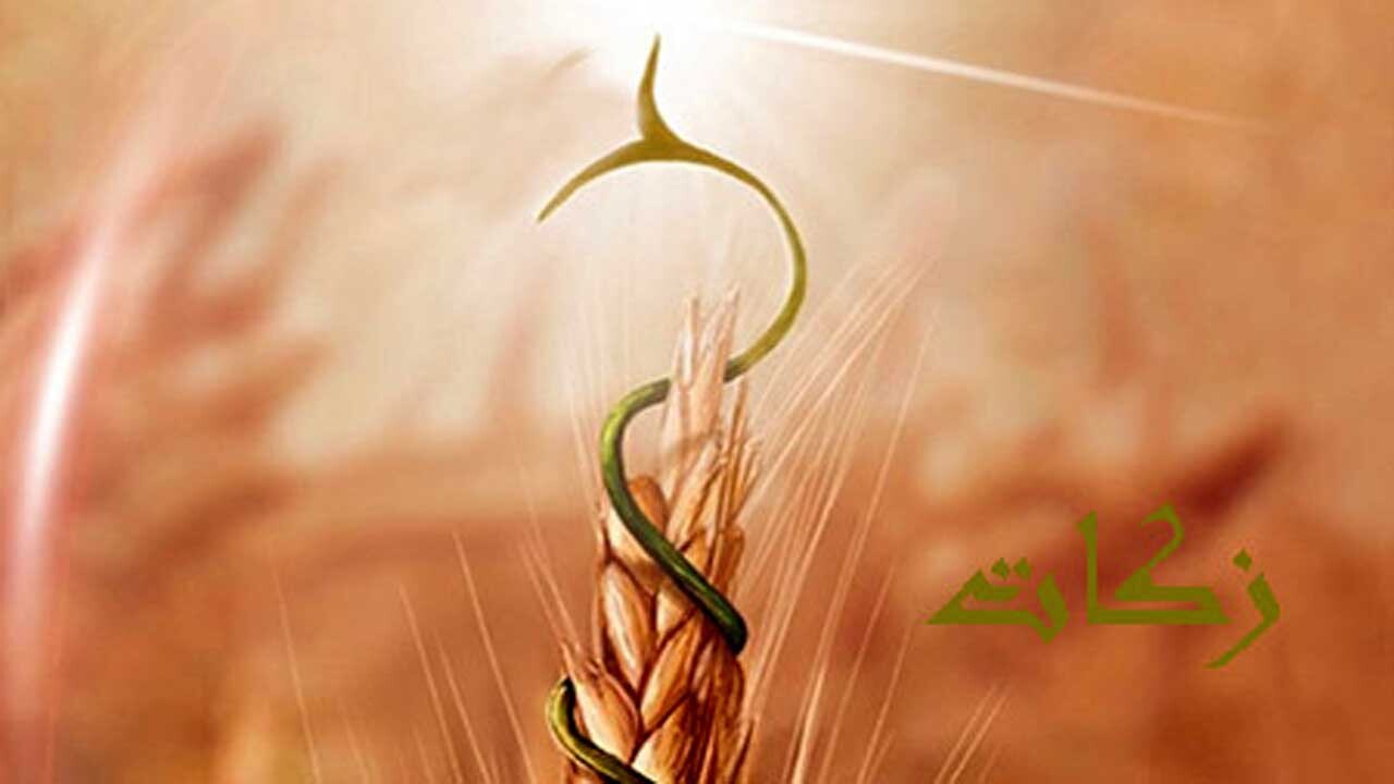 اهدای ۲۰ میلیارد تومان زکات به شکرانه افزون نعمت