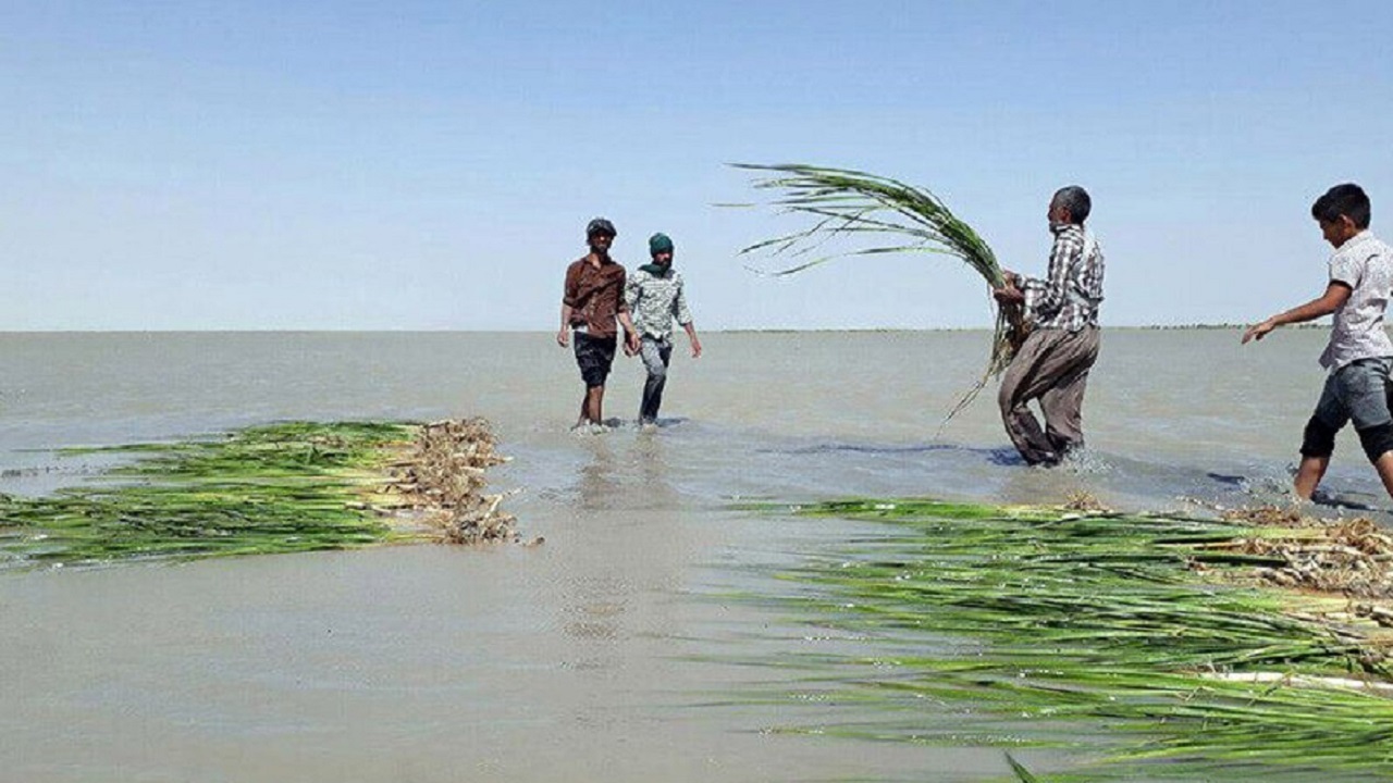 افتتاح دبیرخانه تالاب هامون در زابل