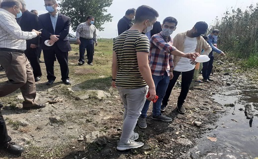 جشن رهاسازی بچه ماهیان سفید در رودخانه چمخاله + تصاویر جشن رهاسازی بچه ماهیان سفید در رودخانه چمخاله + تصاویر