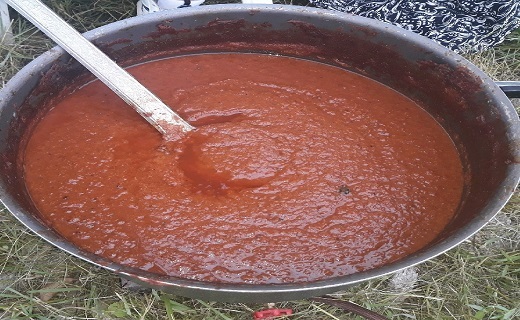 برگزاری جشنواره ترشی آلوچه در لولمان فومن + تصاویر
