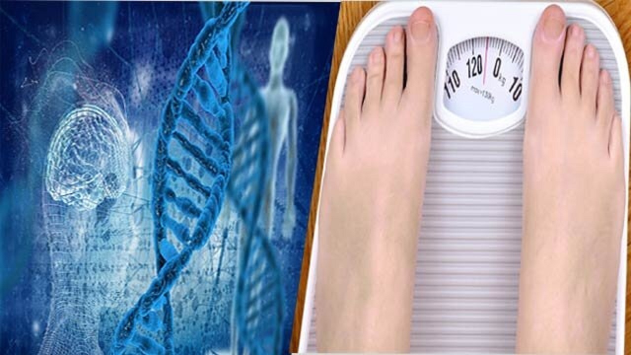 آیا ژن لاغری واقعا وجود دارد؟