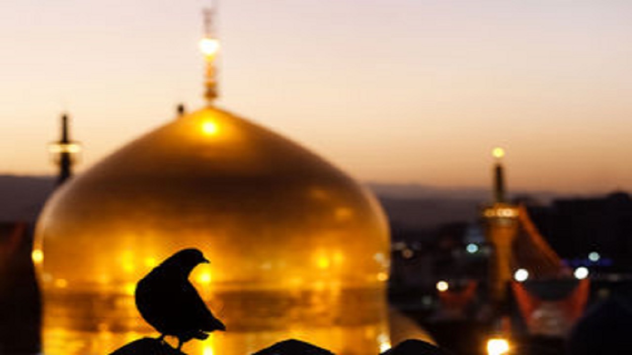 آمدم ای شاه پناهم بده/ چرا از ۲۳ ذی القعده به عنوان روز زیارتی یاد می‌شود؟