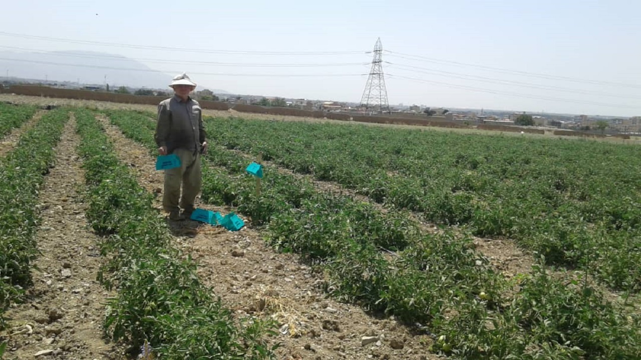 بسیج سازندگی البرز به کمک صنعت کشاورزی می‌آید