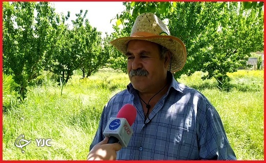 باغدارماهنشانی