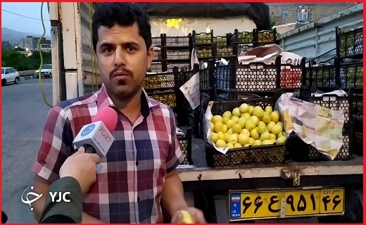 زردآلو ماهنشان