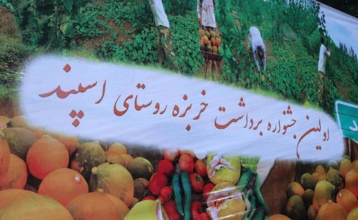 تولید بیش از یک هزار و ۵۰۰ تن خربزه در صومعه سرا
