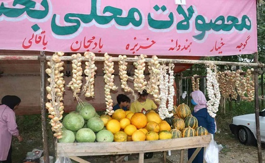 تولید بیش از یک هزار و ۵۰۰ تن خربزه در صومعه سرا
