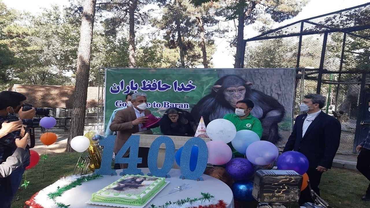 شامپانزه پارک ارم طی مراسمی به کنیا بدرقه شد