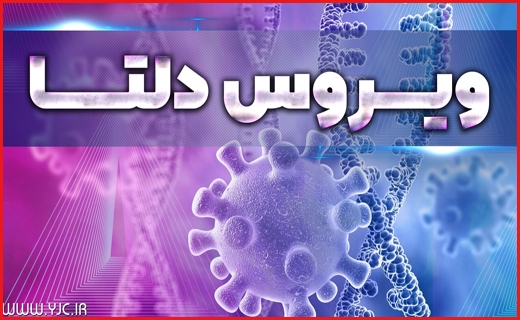 جذاب&zwnj;ترین اخبار استان&zwnj;ها