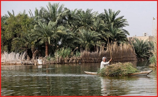 جذاب&zwnj;ترین اخبار استان&zwnj;ها
