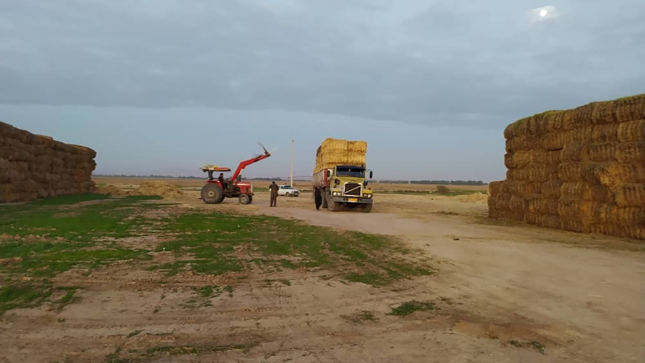 جابجایی کاه و سبوس از درگاه‌های نامشخص قاچاق است