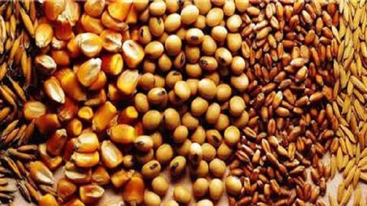 ۱۱ میلیون تن نهاده دامی ثبت سفارش شد