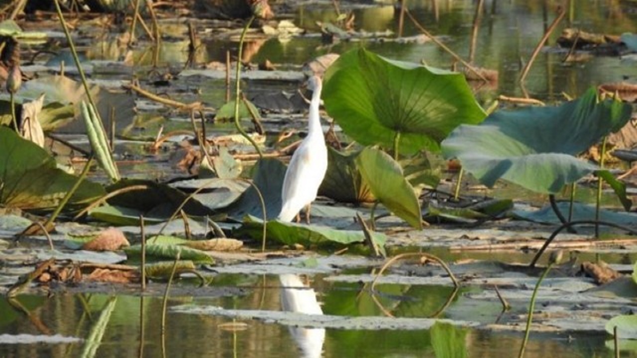 تالاب‌ها جزو ثروت عمومی هستند