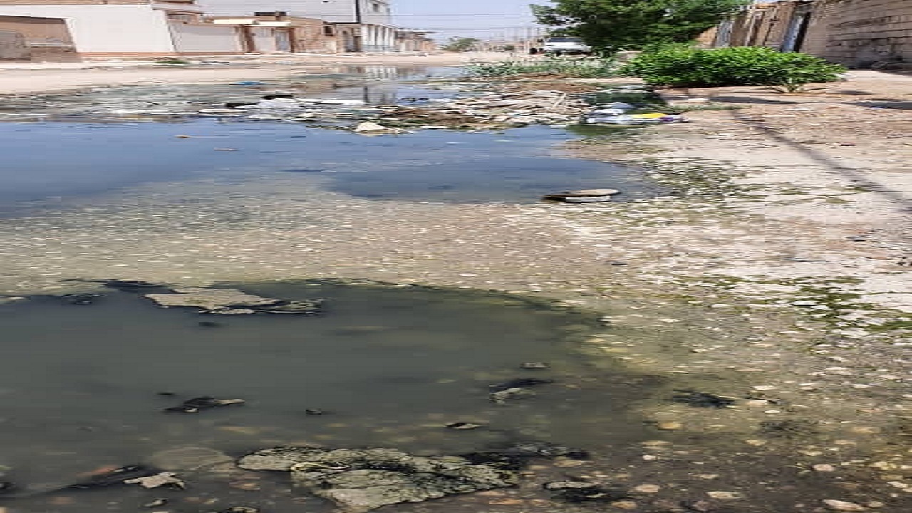 پس زدگی فاضلاب در منطقه عین دو