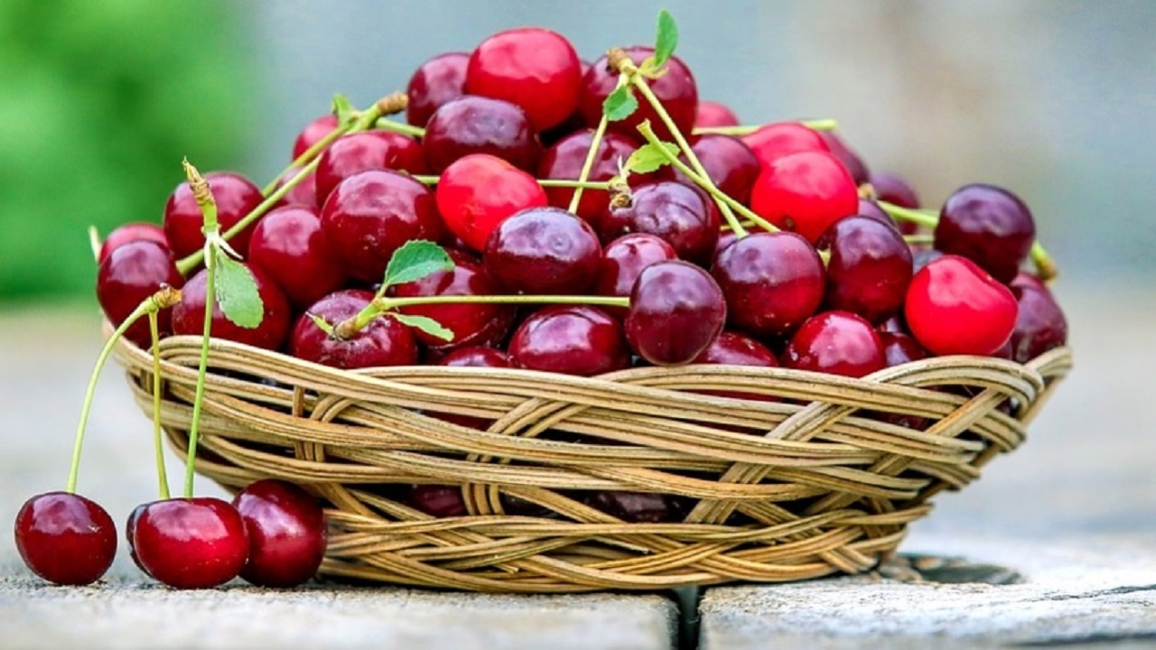 مصرف روزانه گیلاس موجب چه تغییراتی در بدن می‌شود؟