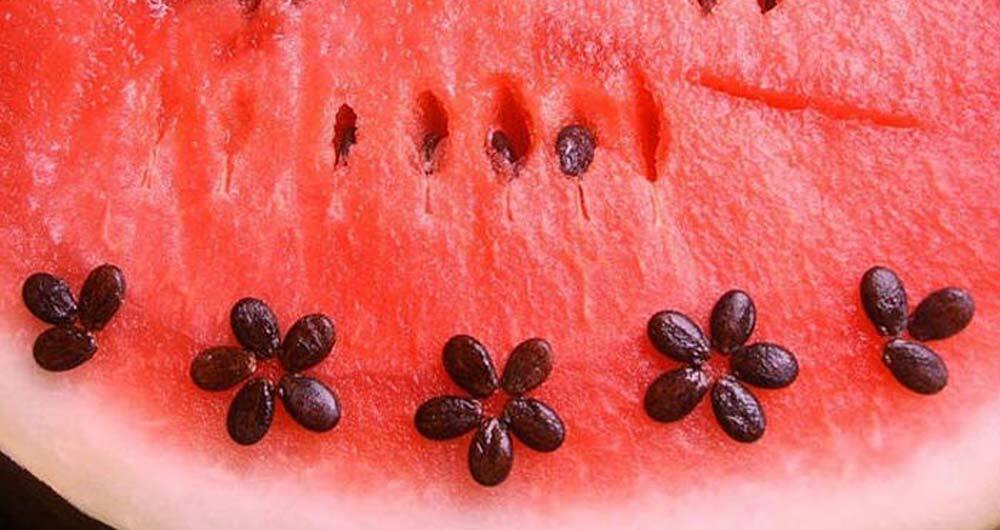 &nbsp;تخمه هندوانه